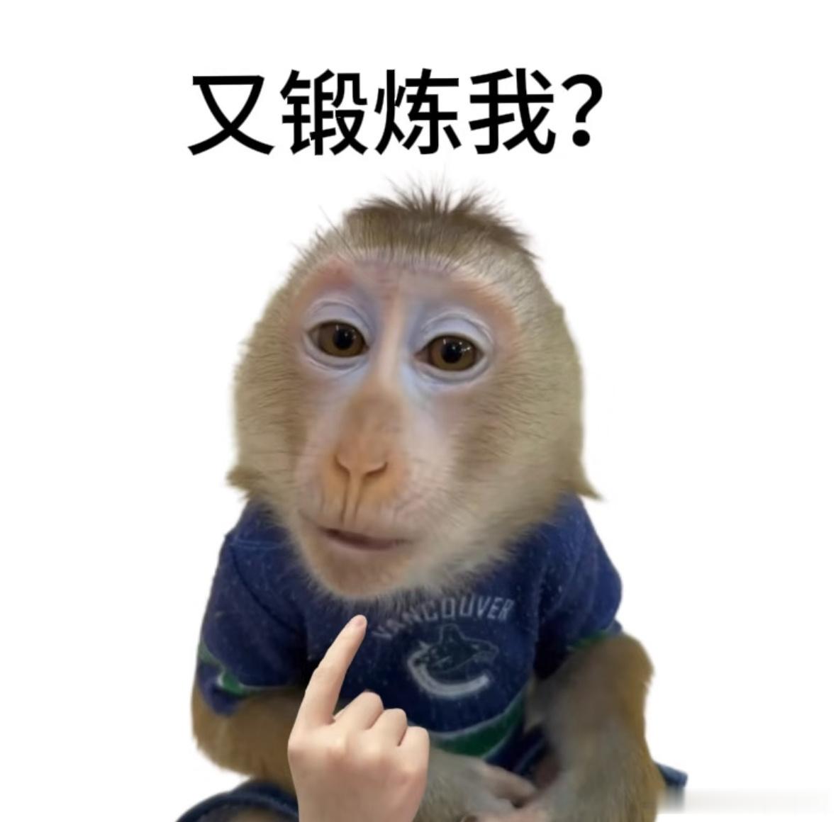 最尊重猴的剧组出现了 这个年会2太尊重演员了，任何出演的人物都打上了署名，就连出