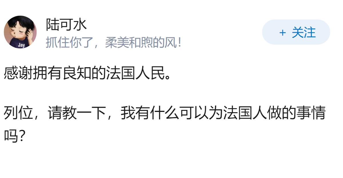 法国首次以游行形式悼念南京大屠杀遇难者，数百名法国本地民众参与，这具有哪些意义？
