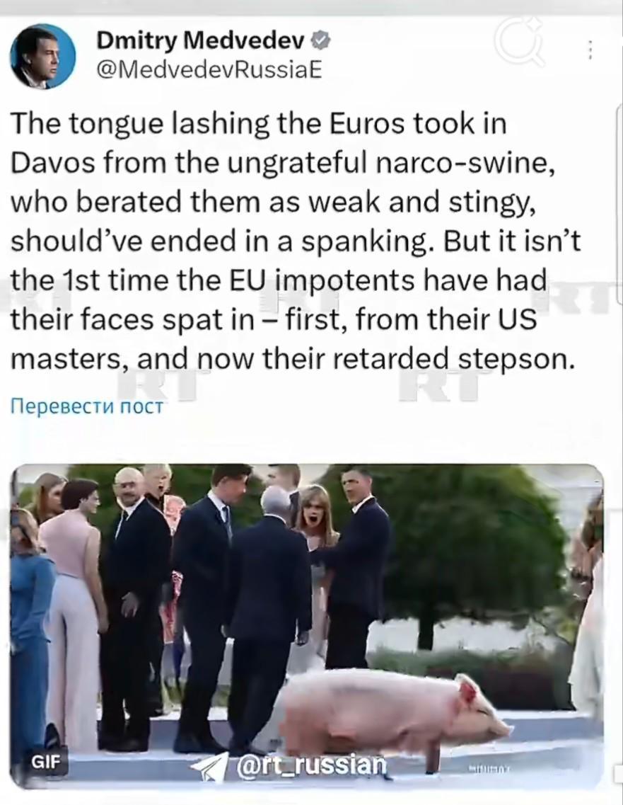 梅德韦杰夫称泽连司机为“吸毒猪猡”
1月24日，俄罗斯安全会议副主席梅德韦杰夫就