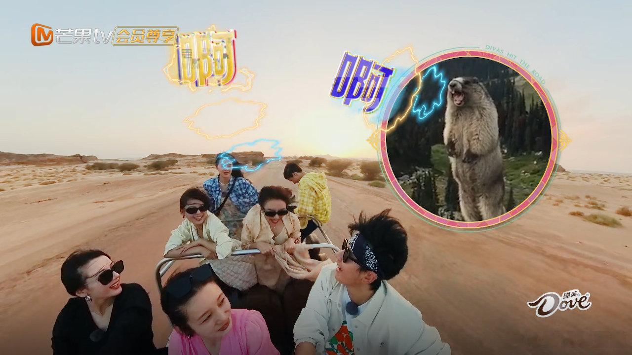 #秦岚别再喊了##秦岚喊成土拨鼠#笑不活了 ​​​