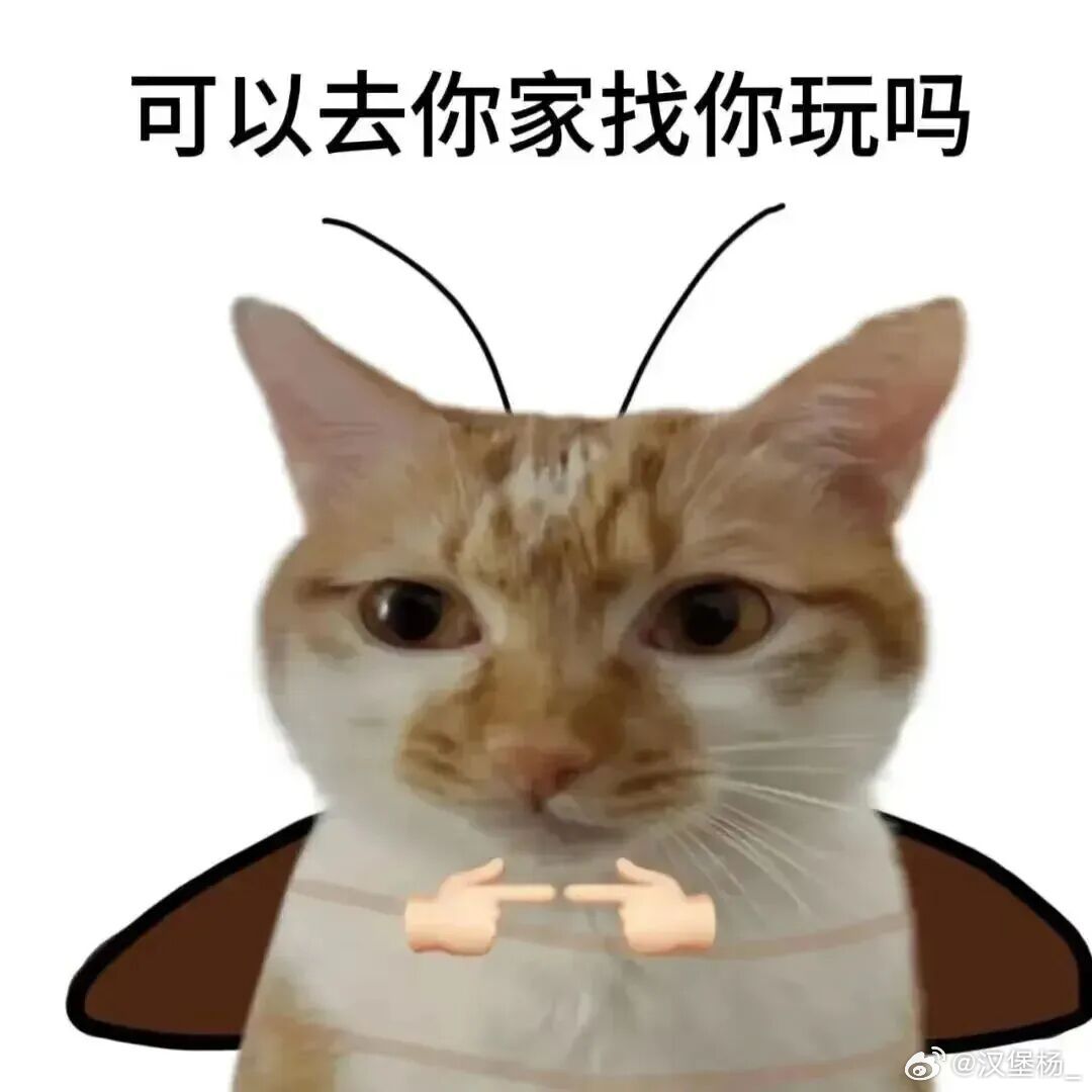 早今儿起早去机场一起来就刷到，好羡慕烟台好多年都没看到过这样飘的大雪了以前在山西