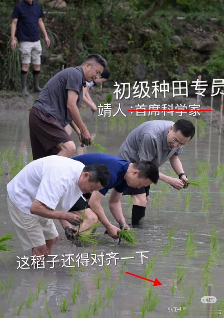 谁能想到芭芭农场居然有真人大佬打卡版啊😂 阿里+蚂蚁核心管理层集体挽裤脚下田插