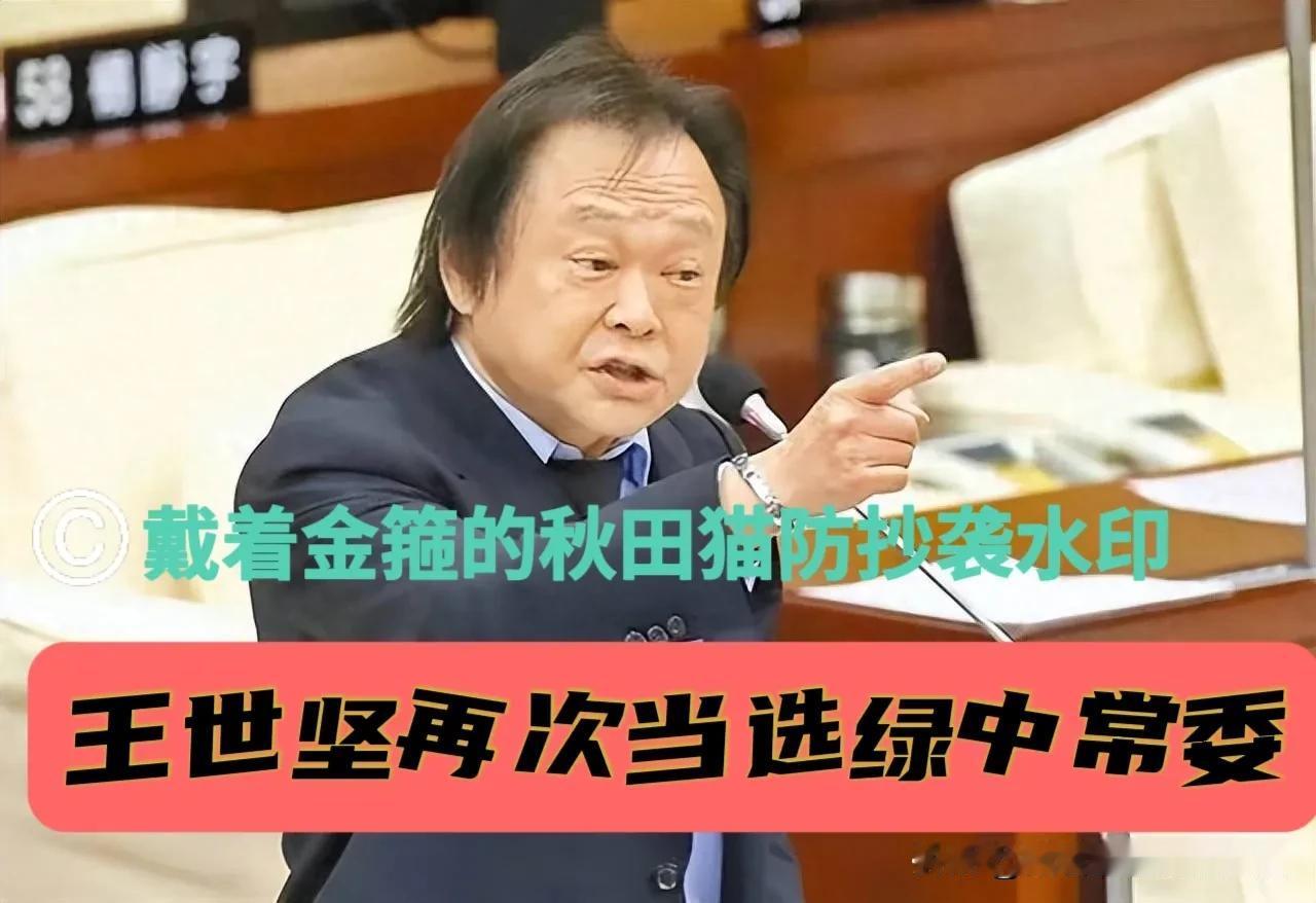 英系几乎全军覆没，唯王世坚硕果仅存，“坚哥”成功续任绿营中常委，或是违心辅选沈伯