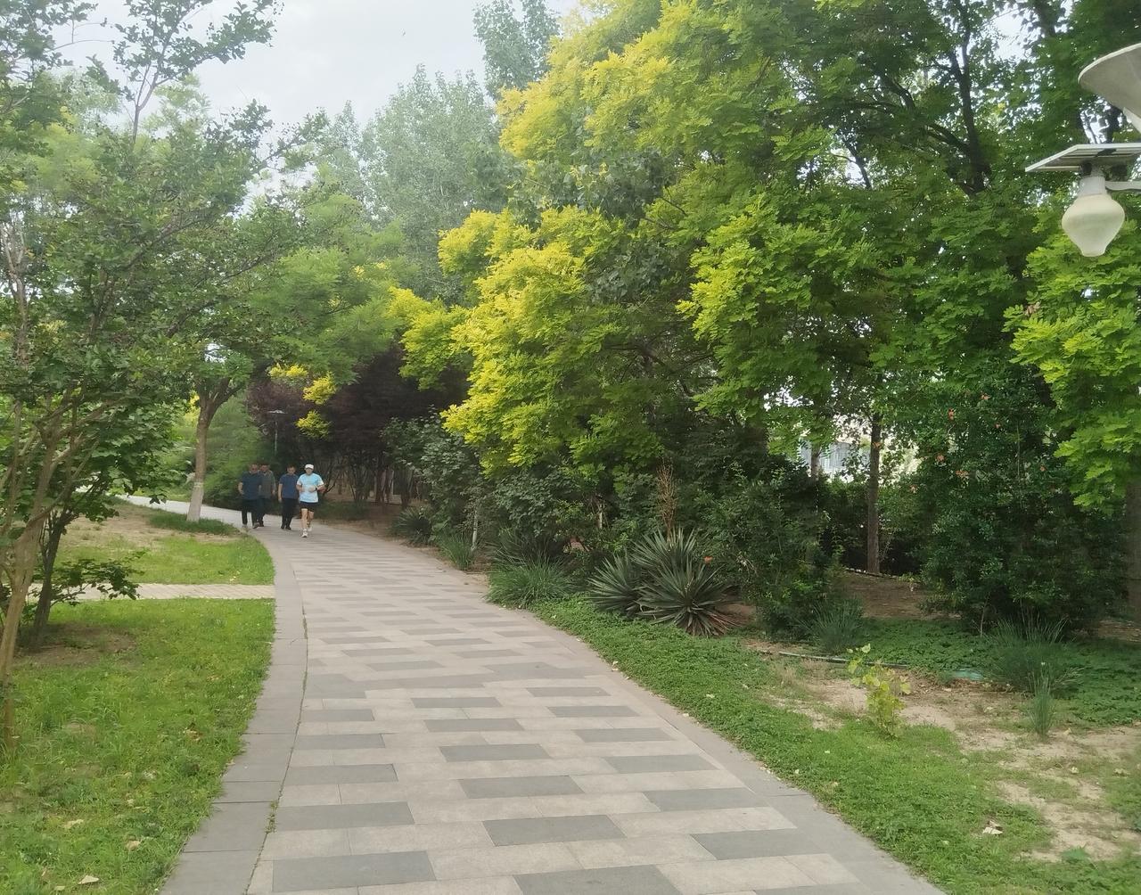 这次欧洲各地的高温，让我们真真切切的感受到了欧洲政客的“善良”。

比如法国有个