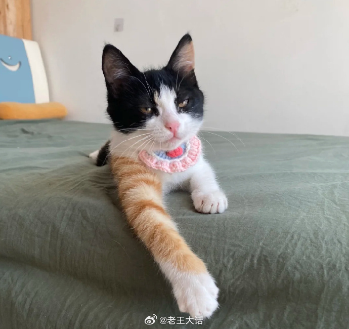 这个花臂看起来就不好惹 ​​​