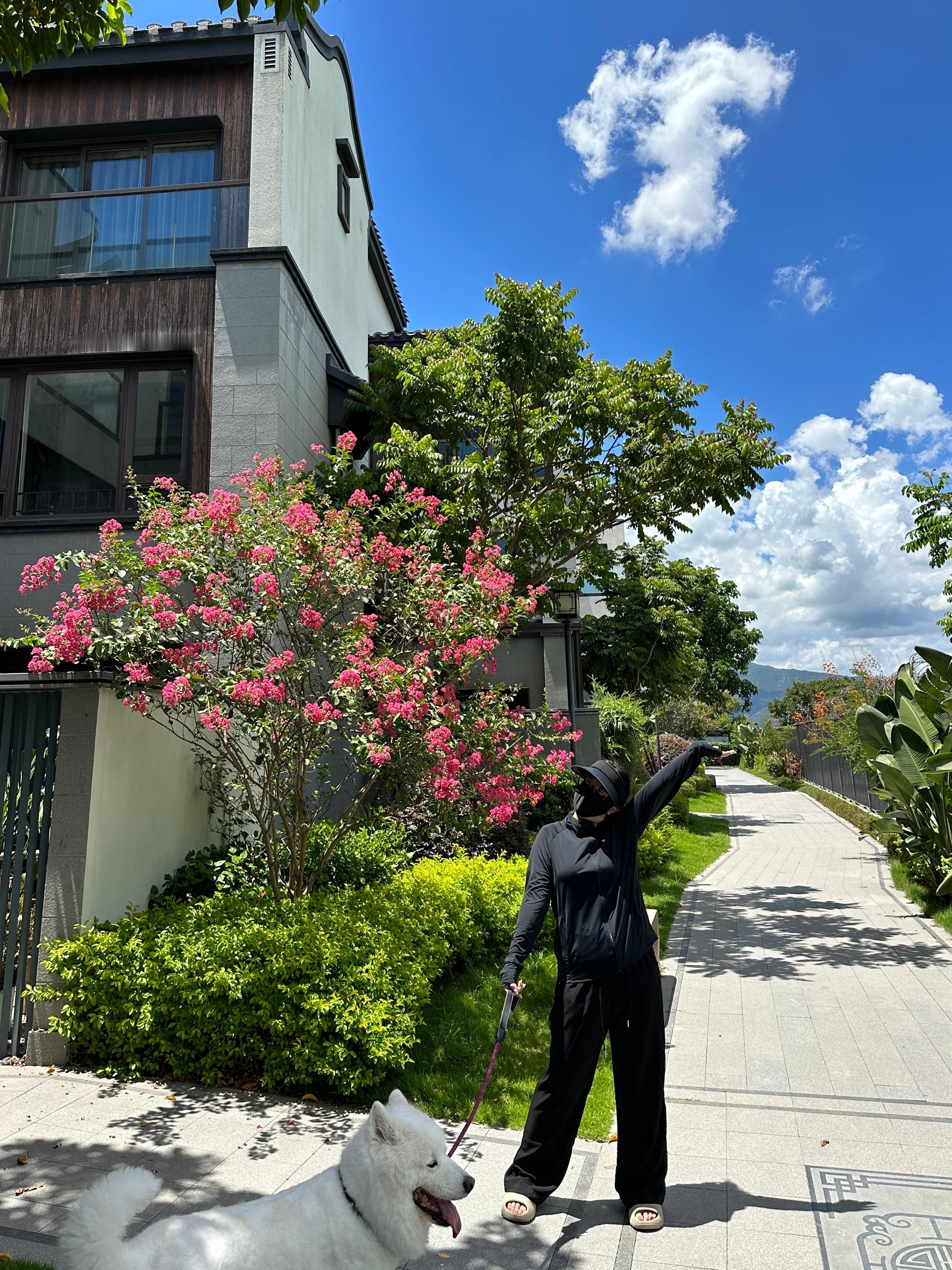 尊嘟好治愈啊啊啊啊啊每天起床遛狗看到这个天气和景 真的没有什么不开心的了[亲亲]