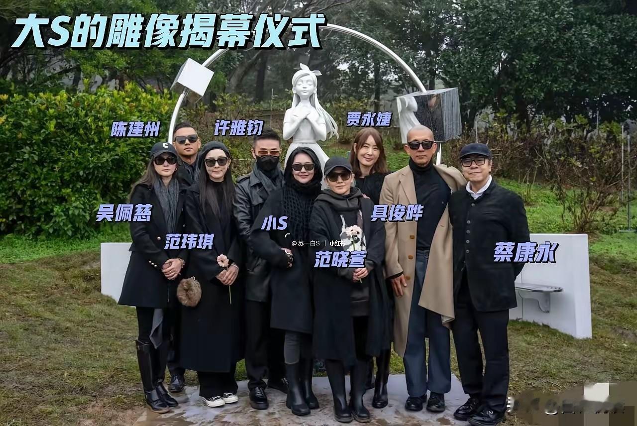 不得不说
大S的周年祭
简直就是一出戏

小S大笑的咔嚓截图
具光头雨伞救急的挑