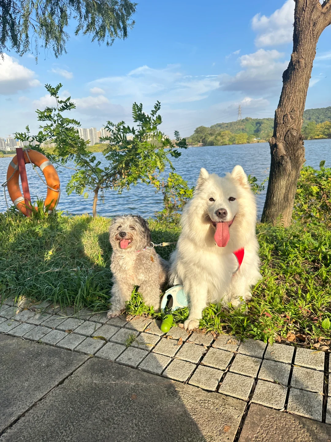 天晴的日子就是要出去玩呀
