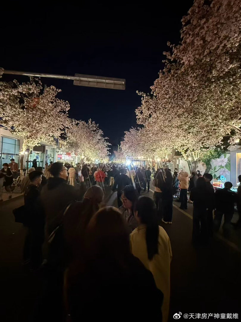 趁春光正好，踏春而行，细雨轻润花枝，芬芳满庭。清风拂过心事，忧郁散尽，漫步繁花深