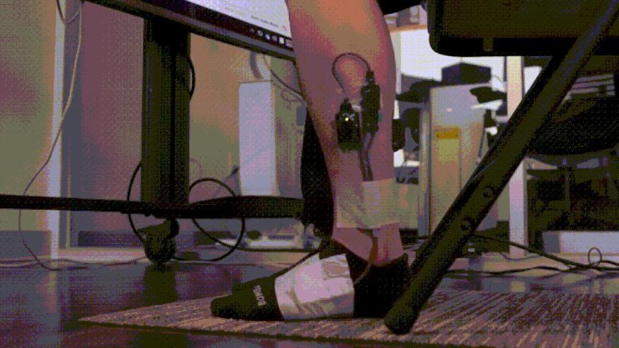 休斯敦大学 Mark Hamilton 团队完成，2022 年 9 月发表于《i