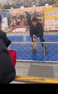 花300块大手笔置办套圈，结果反倒让网友狂夸老板最良心😂套圈趣事