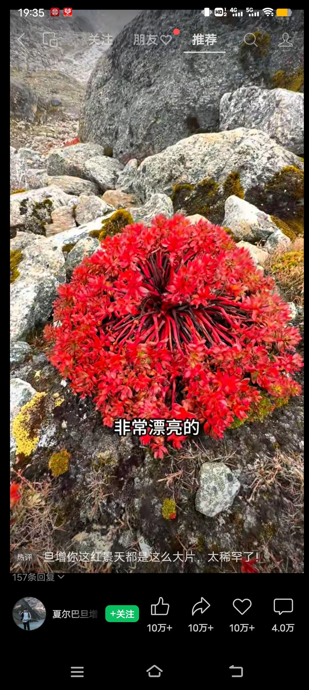 [呲牙][呲牙][呲牙]
踩着松软的雪，
迎着清爽的风。
[微风][微风][微风