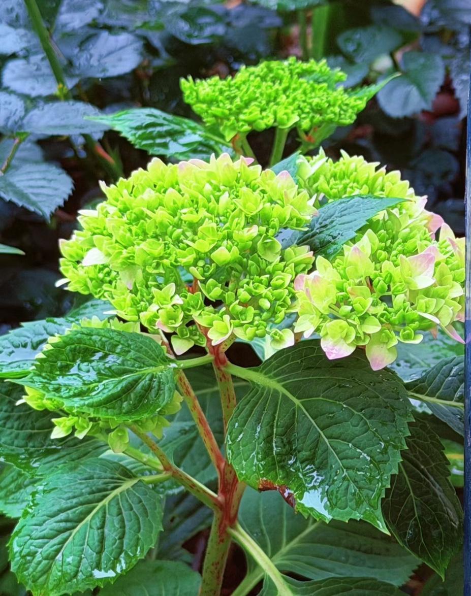 一位艾滋病防治专家说:
现在艾滋病早就不只是单一的性行为传播了，国内感染者已突破