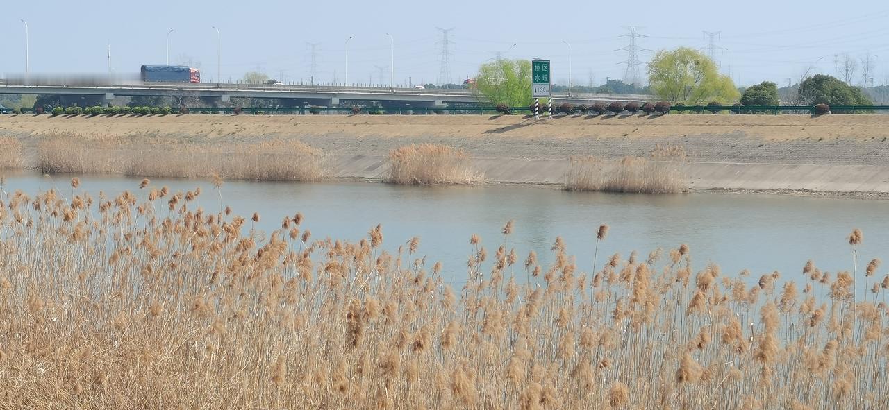 弟弟还是去跑滴滴了，我无奈又心疼。

上周，我动用自己仅有的一点点人脉，帮弟弟找