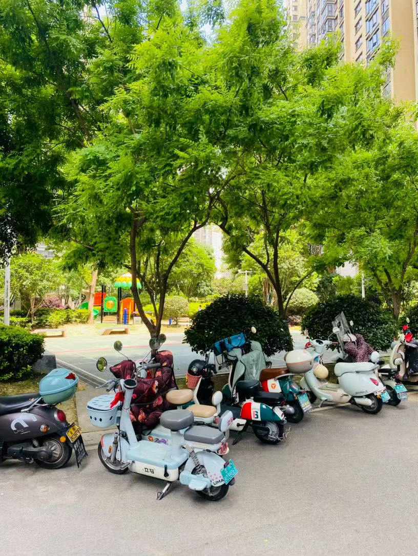 生活手记记录真实生活摄影摄影摄影 风过晴光里，此心安处是吾家晴光漫过楼檐时，整个
