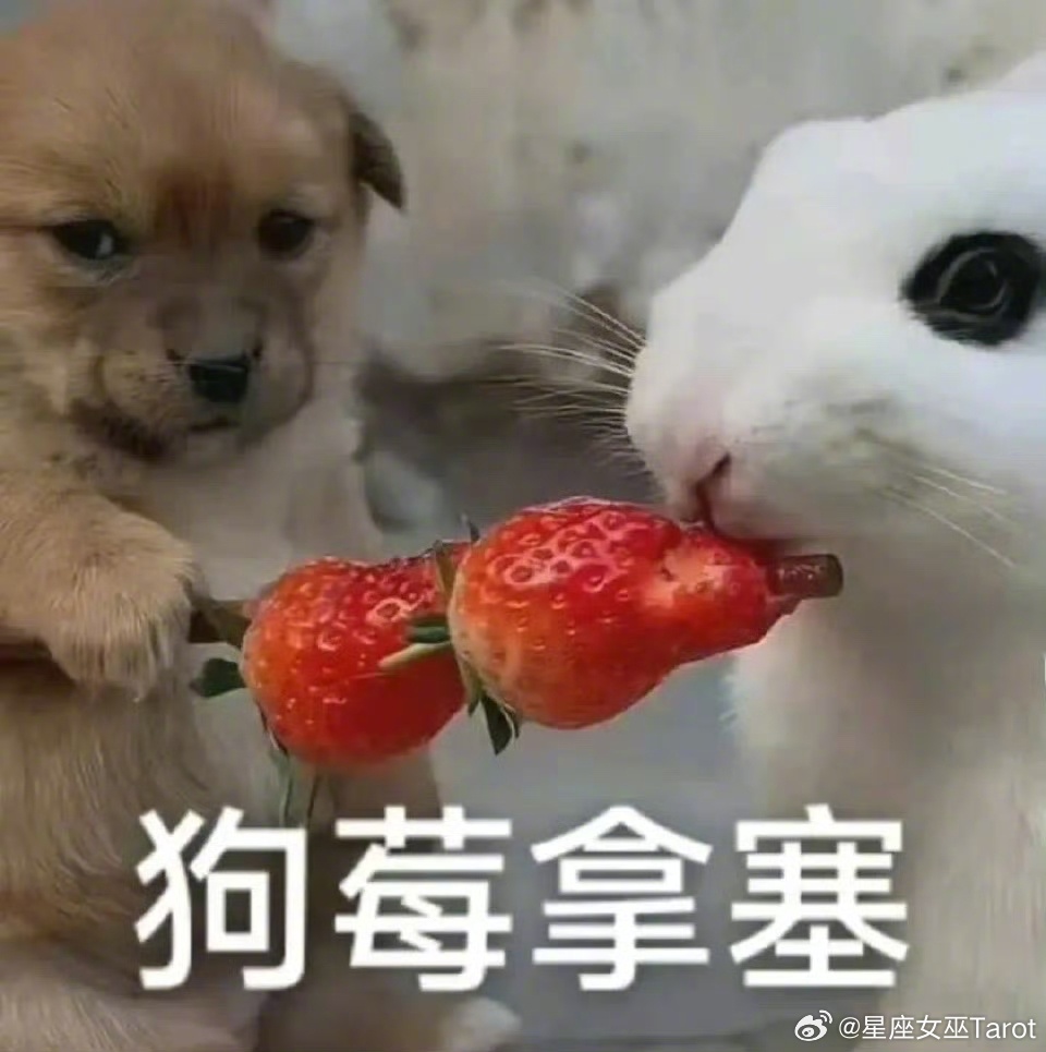 如何用一句话哄好12星座：白羊：走，请你吃火锅，现在！金牛：这个红包你收一下双子