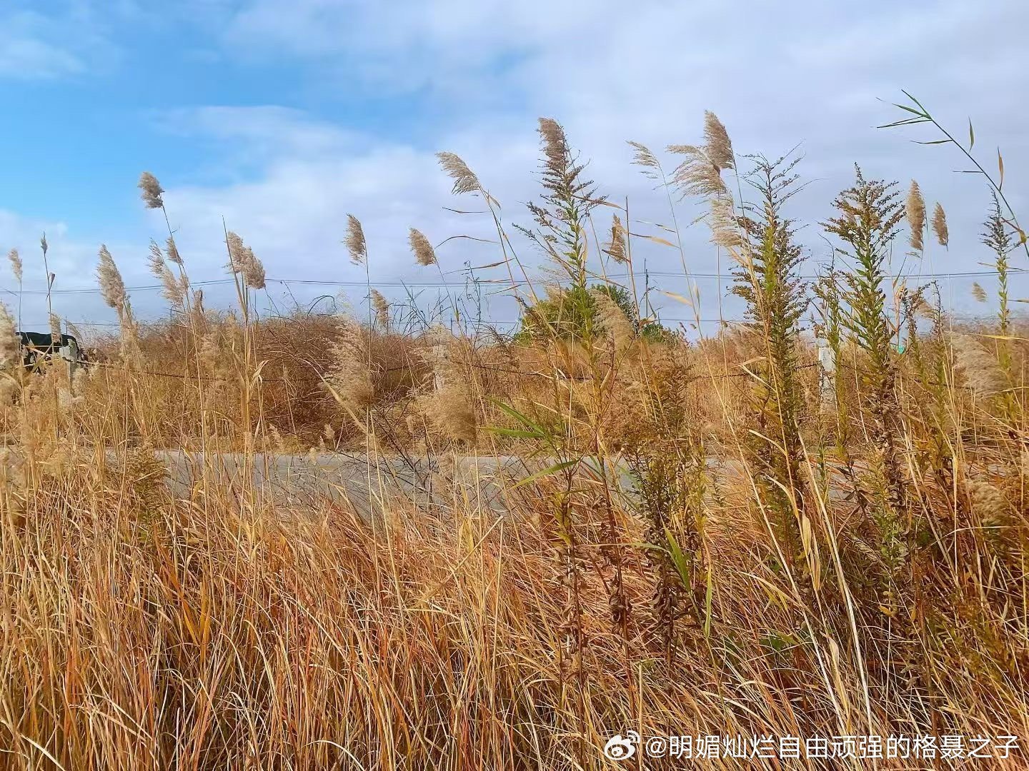 应加快步伐才能赶上生活。 趁太阳尚未西沉， 趁初雪落下之前。 