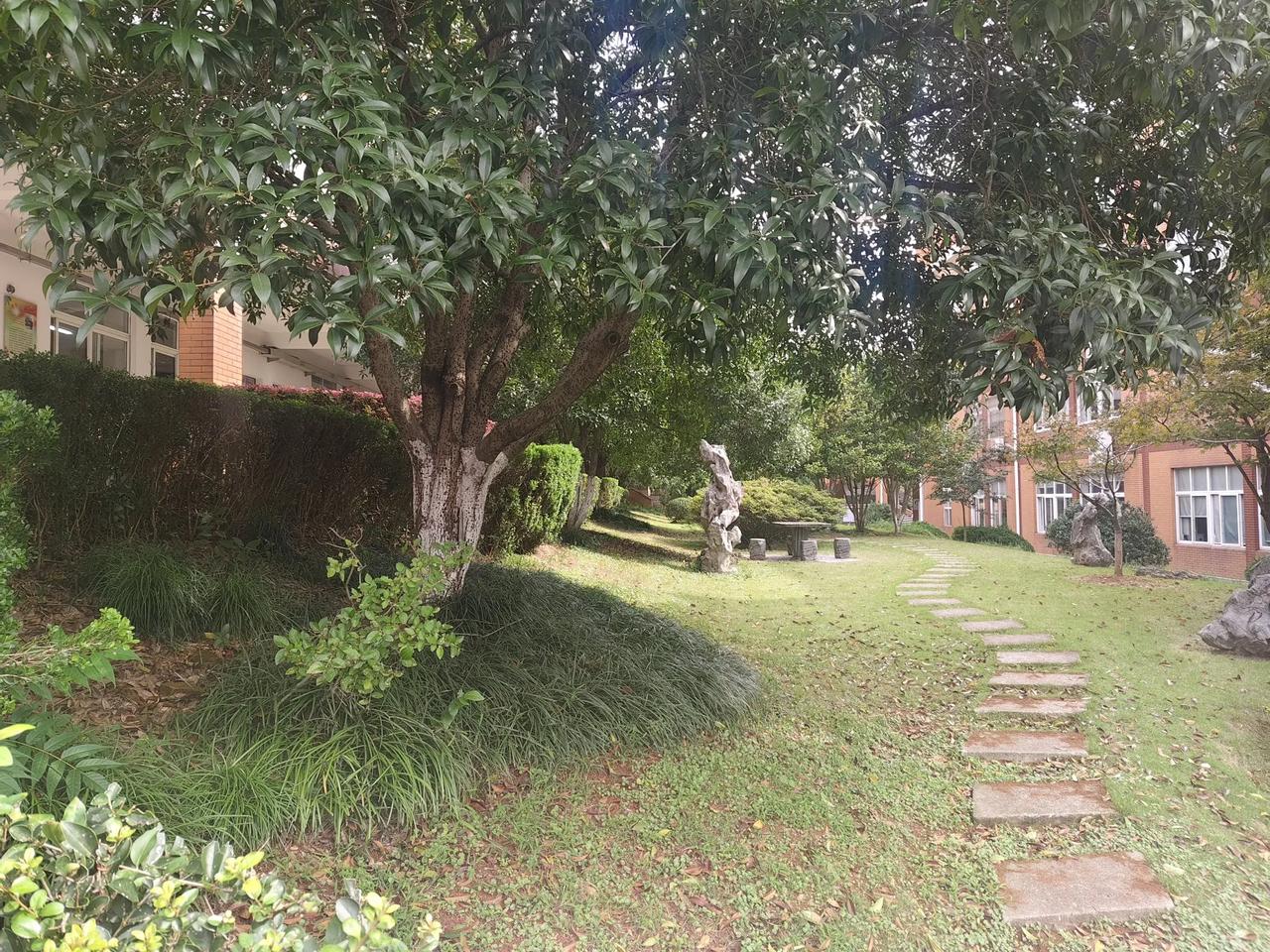 #秋日风景打卡#
一块绿地，通过整合自然成了风景之地！人工培植改造总是缺少点什么