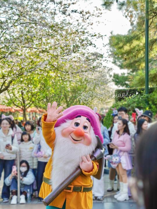 春日的颜色🌸