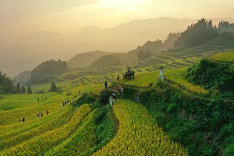 上联：春播千亩稻；诚邀下联秋收万斛粮