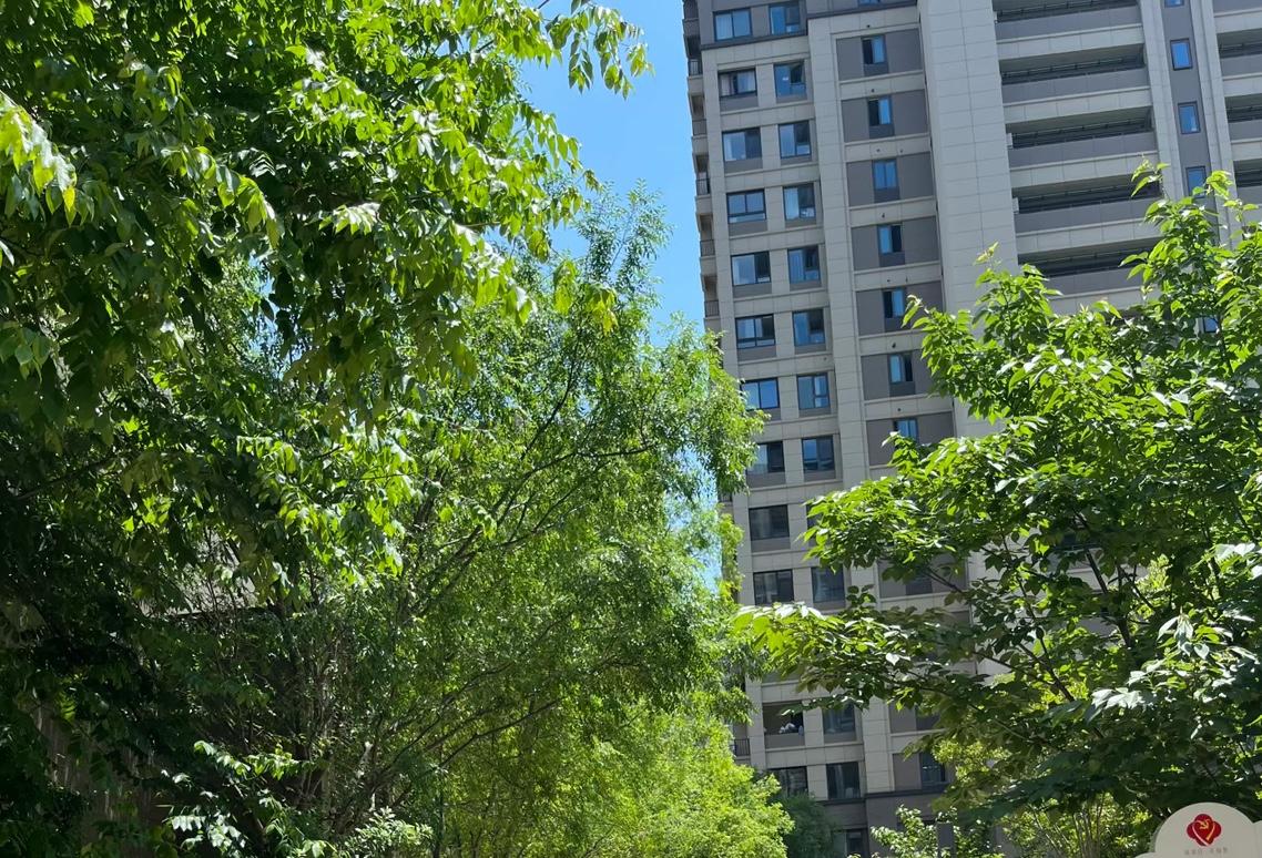 买来之后没关注过房价，6月份偶然知道同小区同户型跌了60%，全款买下不到我当年三