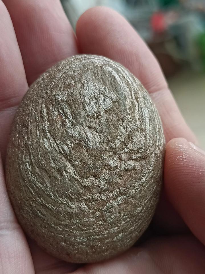 请教这是什么石头，泛银光，木质纹理，石头硬度不高。