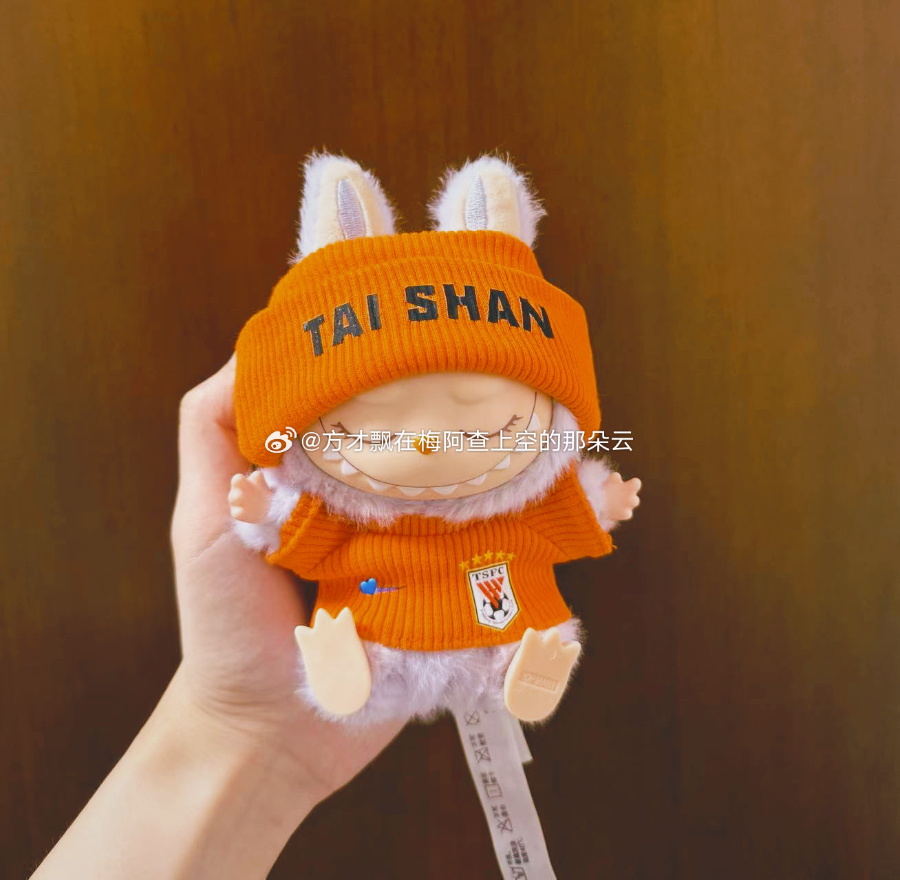 【拉布布团】山东泰山拉布布及周边服饰 共6套服饰搭配 出镜的是各种一代娃和二代娃