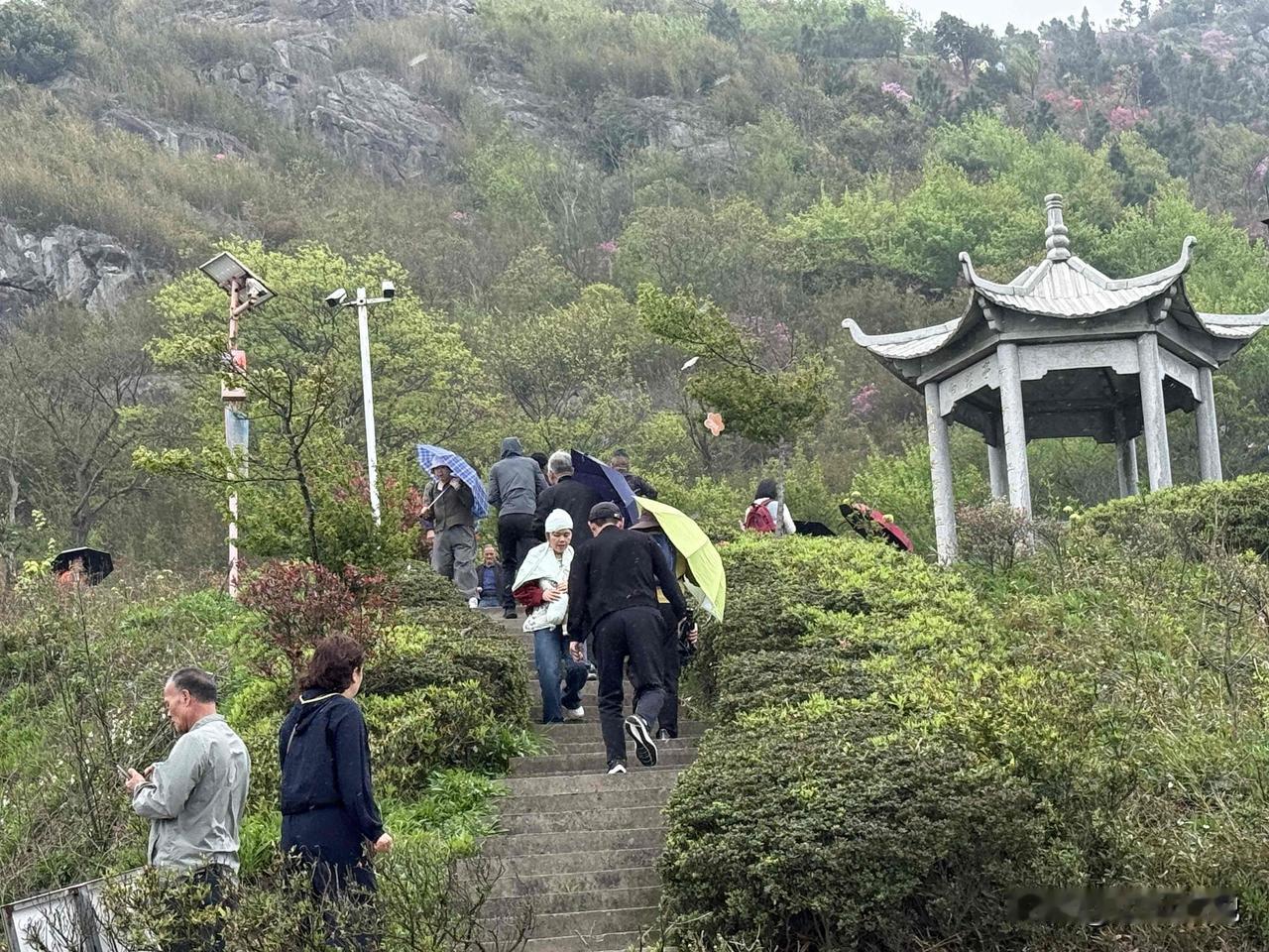 有一个船夫推船入江，压死了沙滩上的几只螃蟹，一个小和尚就问禅师：“师父，那这是谁
