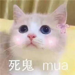 表情包