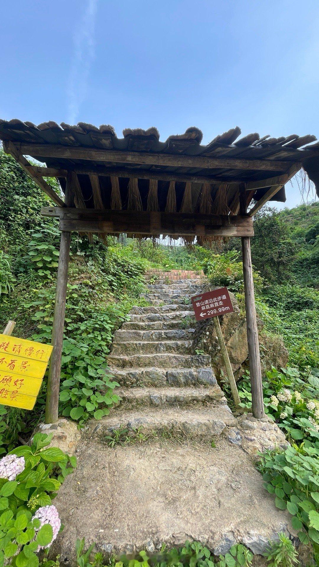 登山请沿此步道～麻直～麻直～走～这是桂林话吗？[笑cry][笑cry]  ​​​