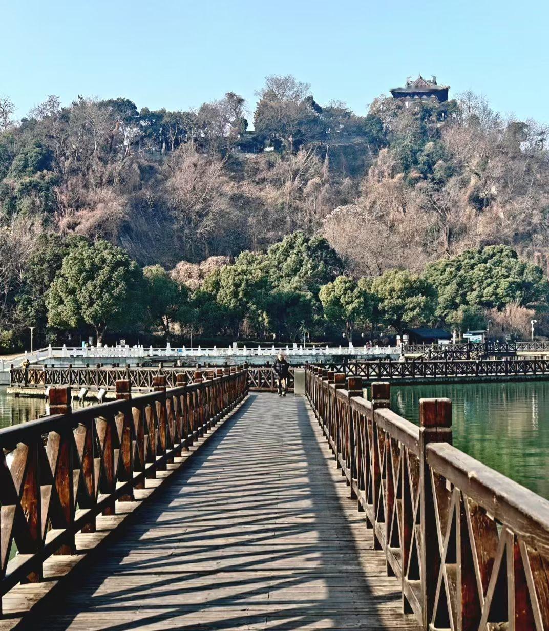 🌞 木桥把光影裁成细条，铺在水面通往山的路上，古阁在林梢，像光阴遗落的一枚印章