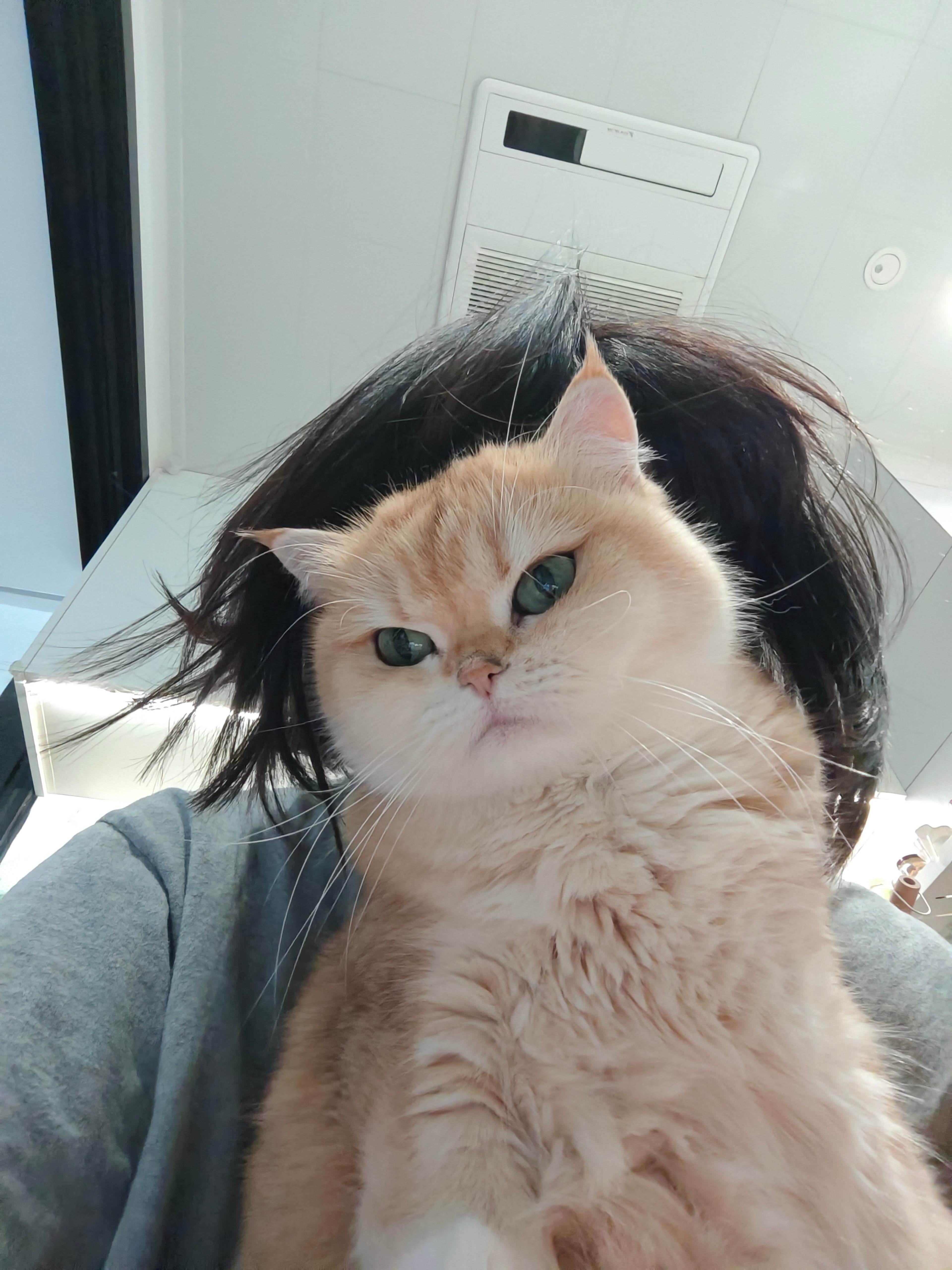 诶嘿嘿蓬头垢面的周末抓住小猫一顿猛亲菇冬怎么肥四