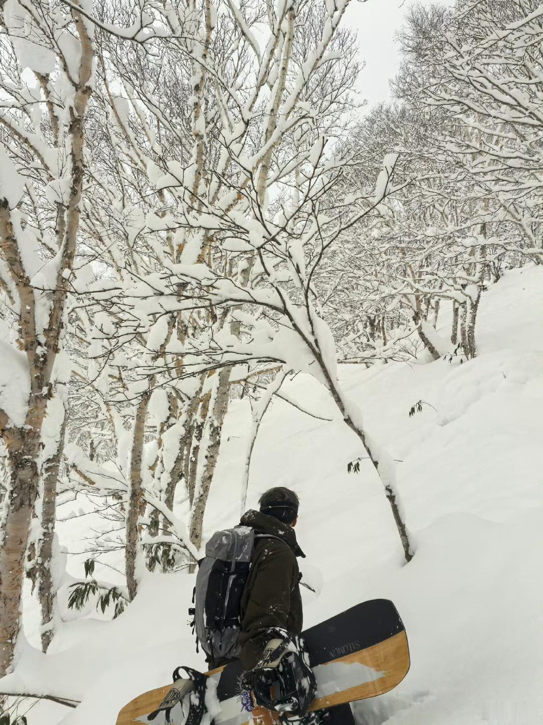 谢霆锋和lucas一起滑雪  lucas给爸爸当专业摄影师，滑雪水平越来越好，照