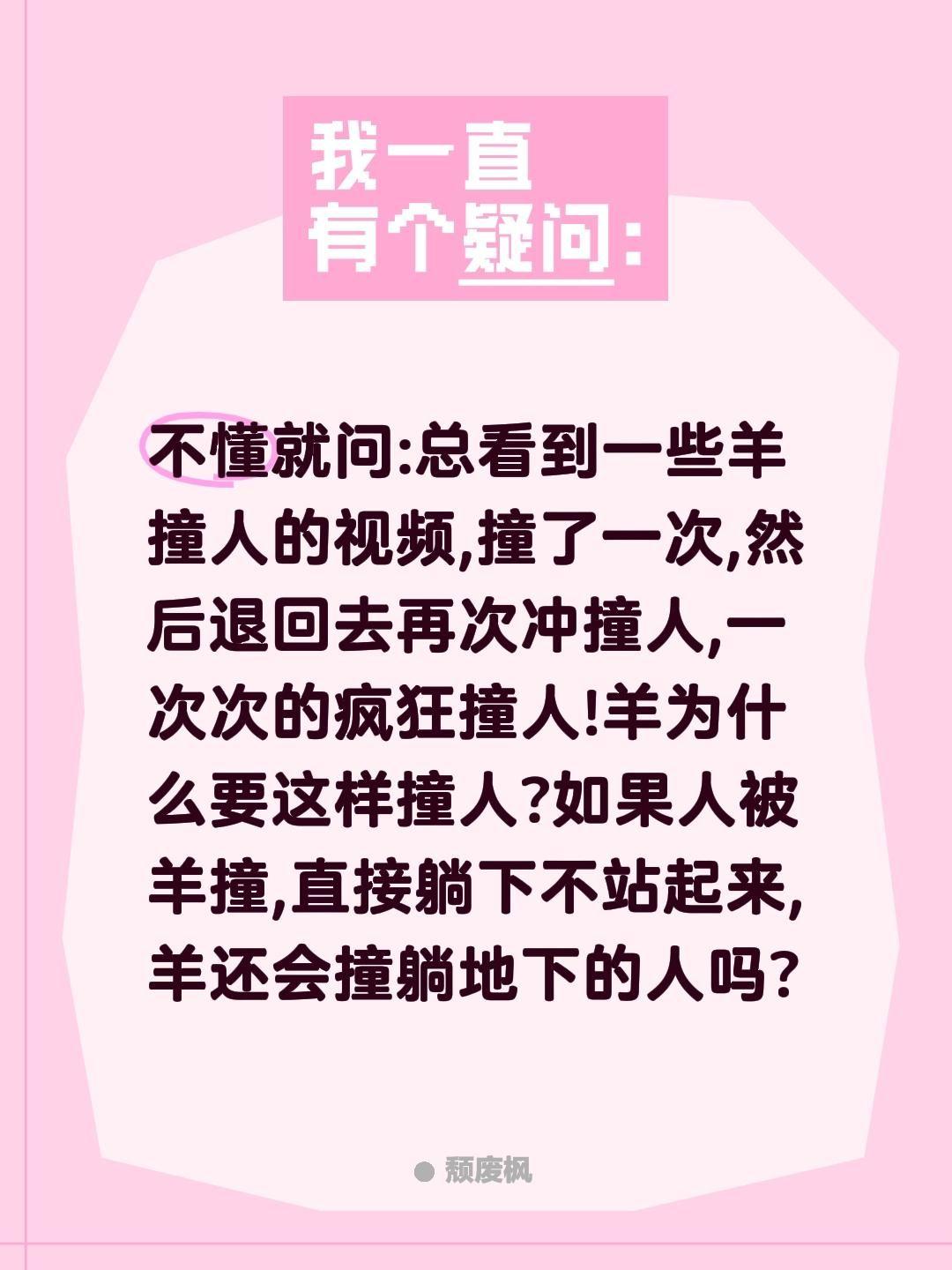 羊为什么疯狂撞人?不懂就问:总看到一些羊撞人的视频,撞了一次,然后退回去再次冲撞