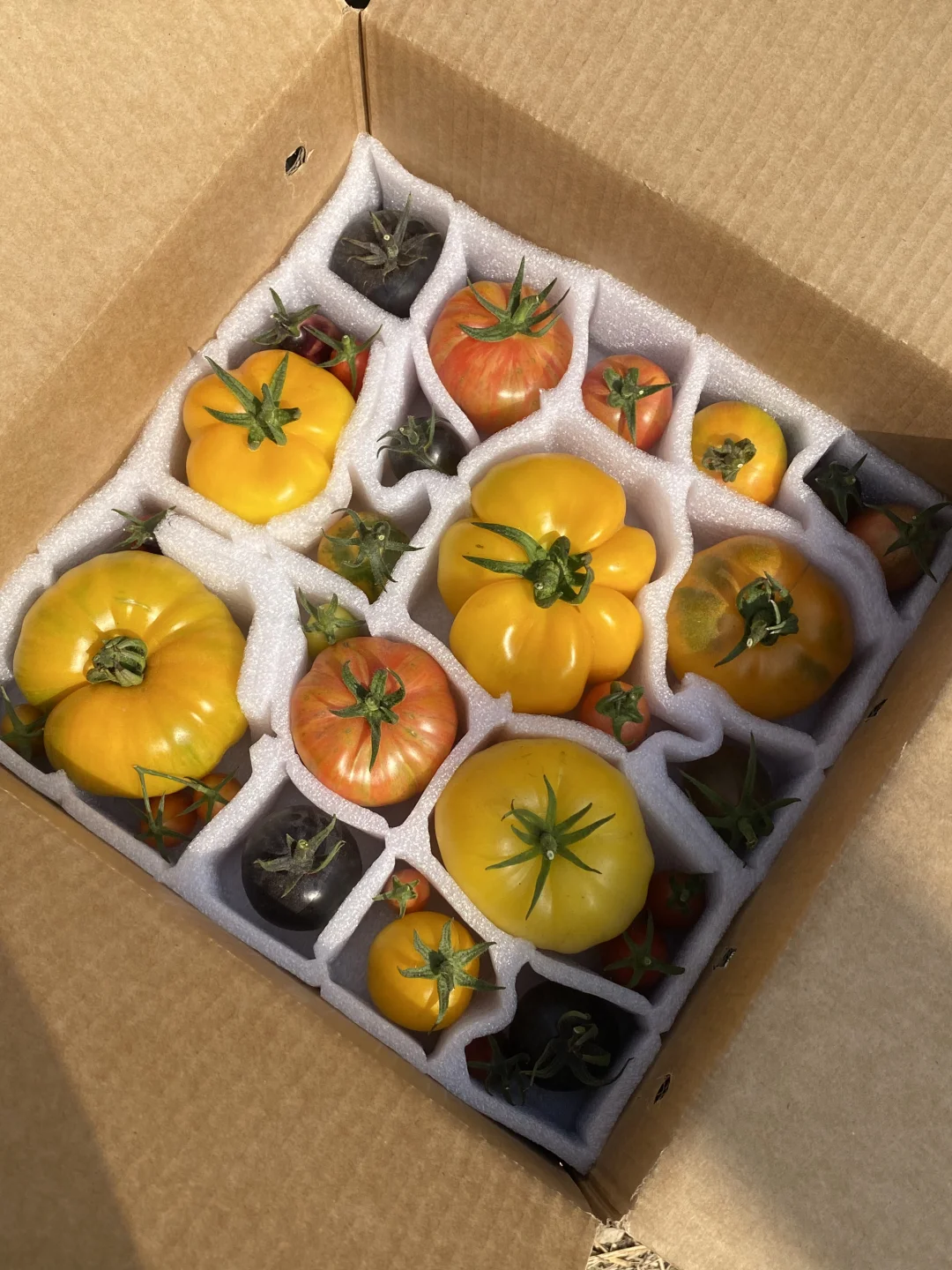 🍅📦