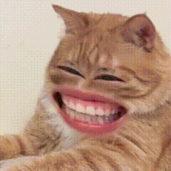 所有歌评人 允许你们来蹭我家明珠 这可是大好素材啊 芋泥的zzp想不想要？ 