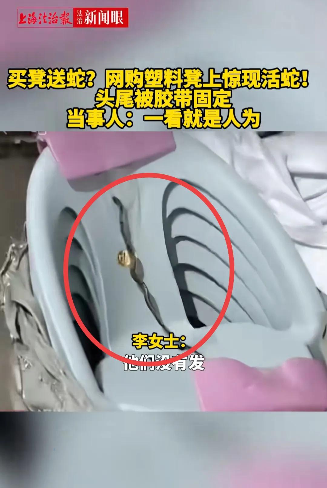 “买凳送活蛇？”近日，云南一女子家里凳子不够用了，想着在网上买便宜一点，于是她买