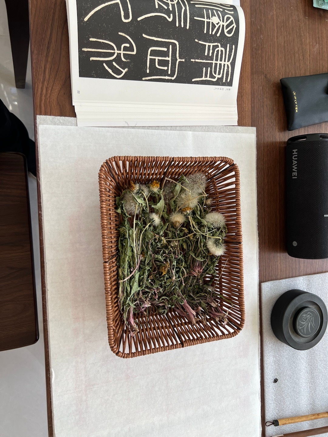 蒲公英，解火毒。 ​​​