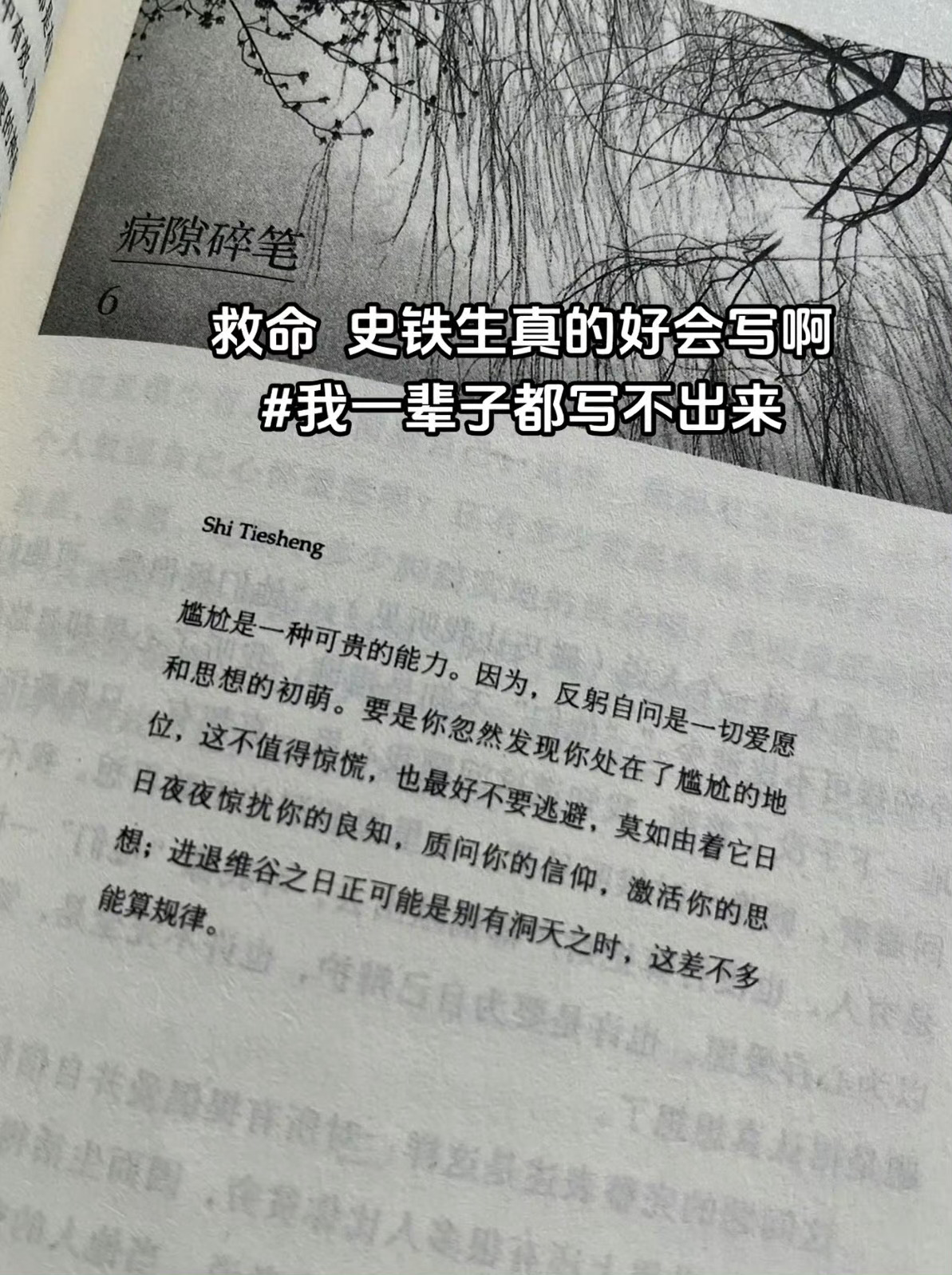 我一辈子都写不出来的文字 