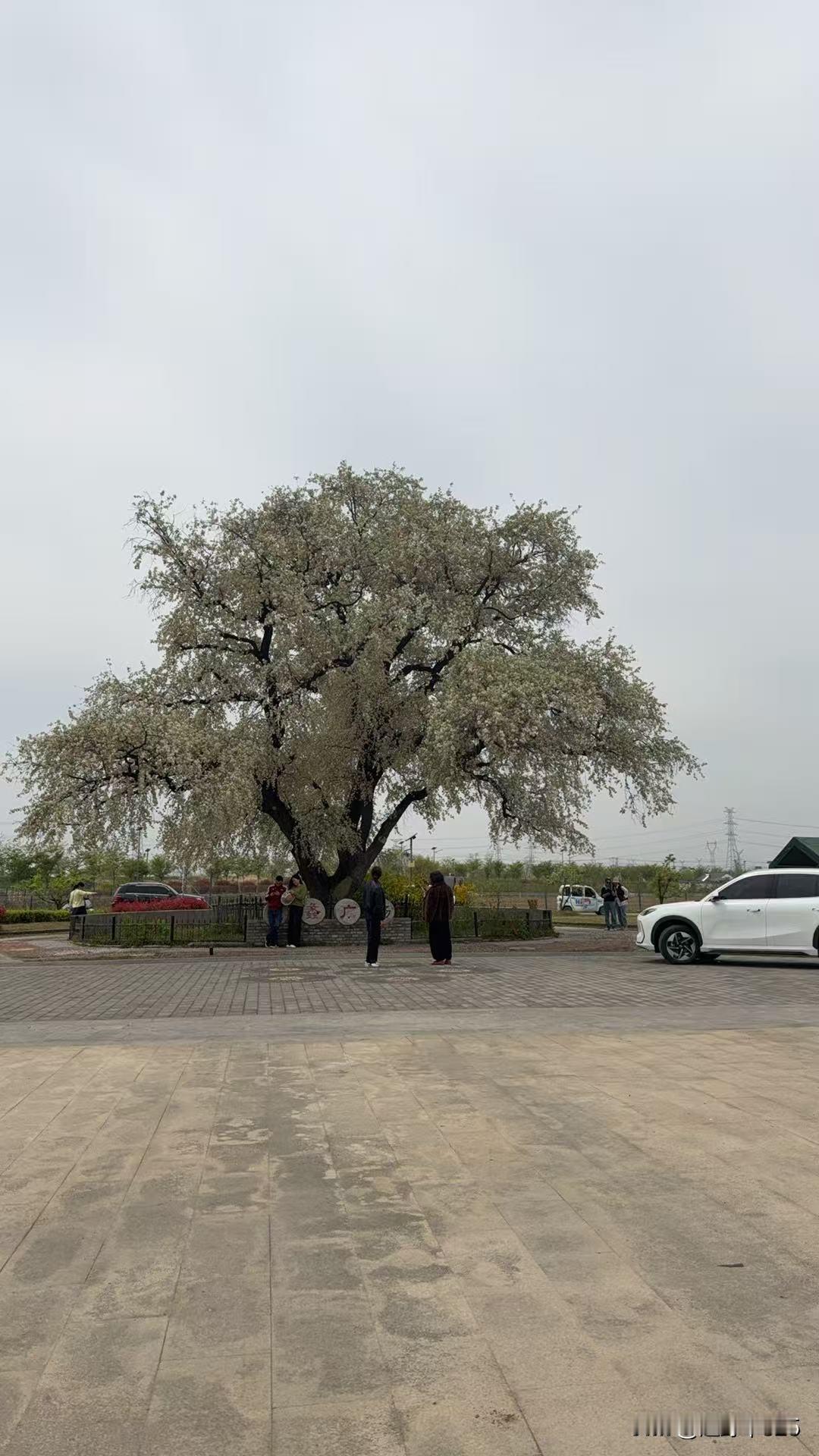 我认为人的一生中不能单单是为了钱而活着，还有更重要的是亲情、友情、同事情，钱生不