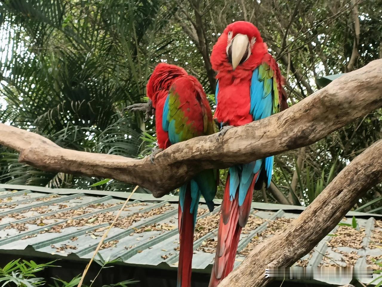 广州真是做友好的城市。我是北方人，这几天在广州旅游。一下飞机就被广州人的真诚和热