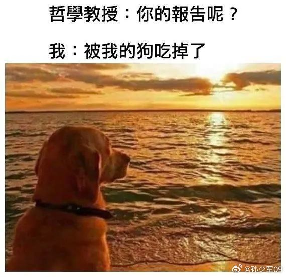 最近高德导航发什么癫，经常走错路 