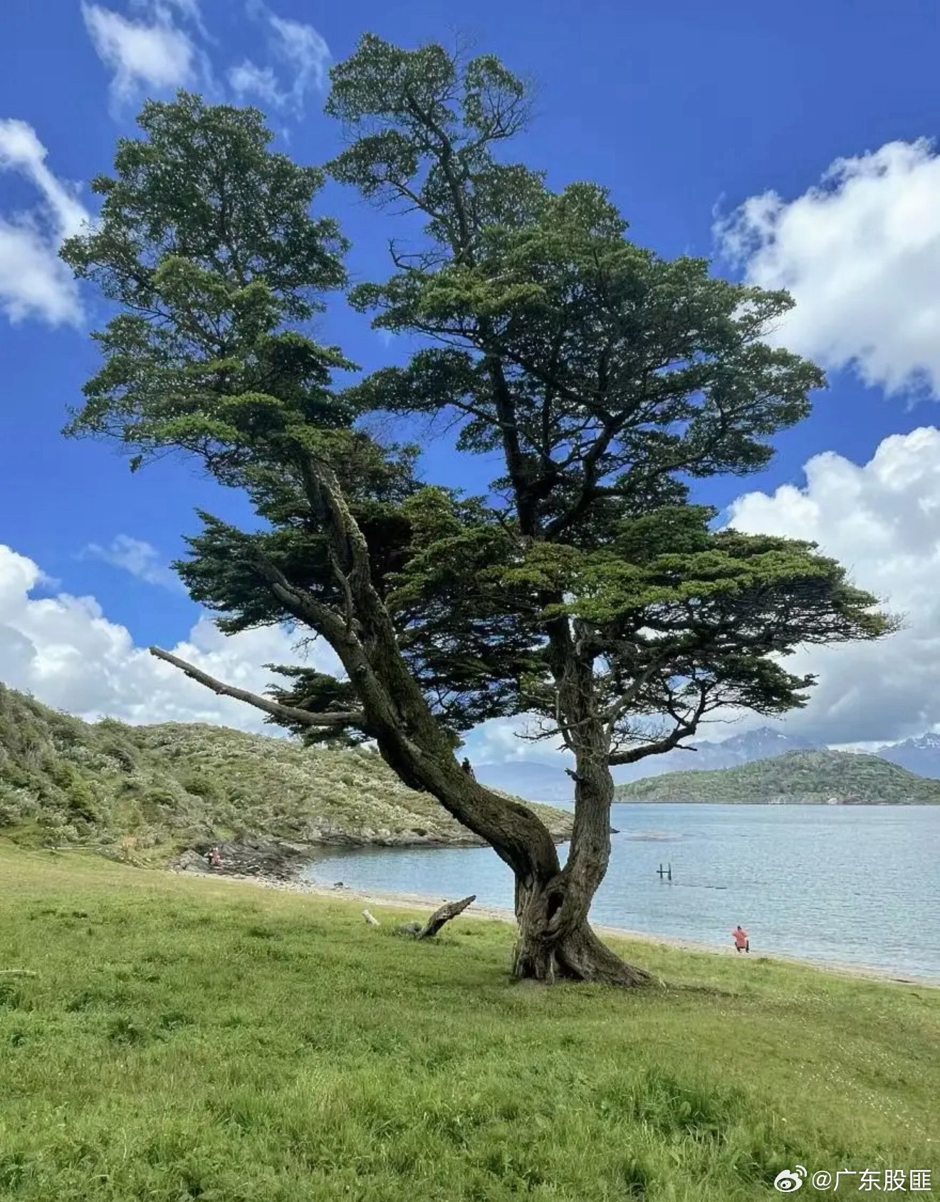 新型储能核心领域1，储能电池2，储能变流器3，系统集成商4，电站运营商5，直流侧
