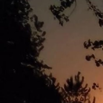 养养 我们总习惯于追赶别人的节奏，羡慕他人路上收获的风景，却忽略每个人的赛道本就