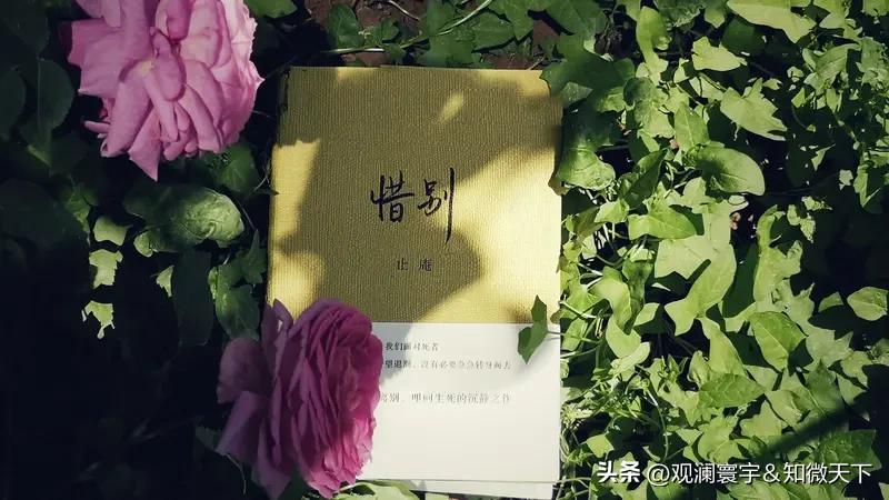 《甄嬛传》《琅琊榜》 《亮剑》《隐秘的角落》《觉醒年代》都更精彩！

因为镜头赋