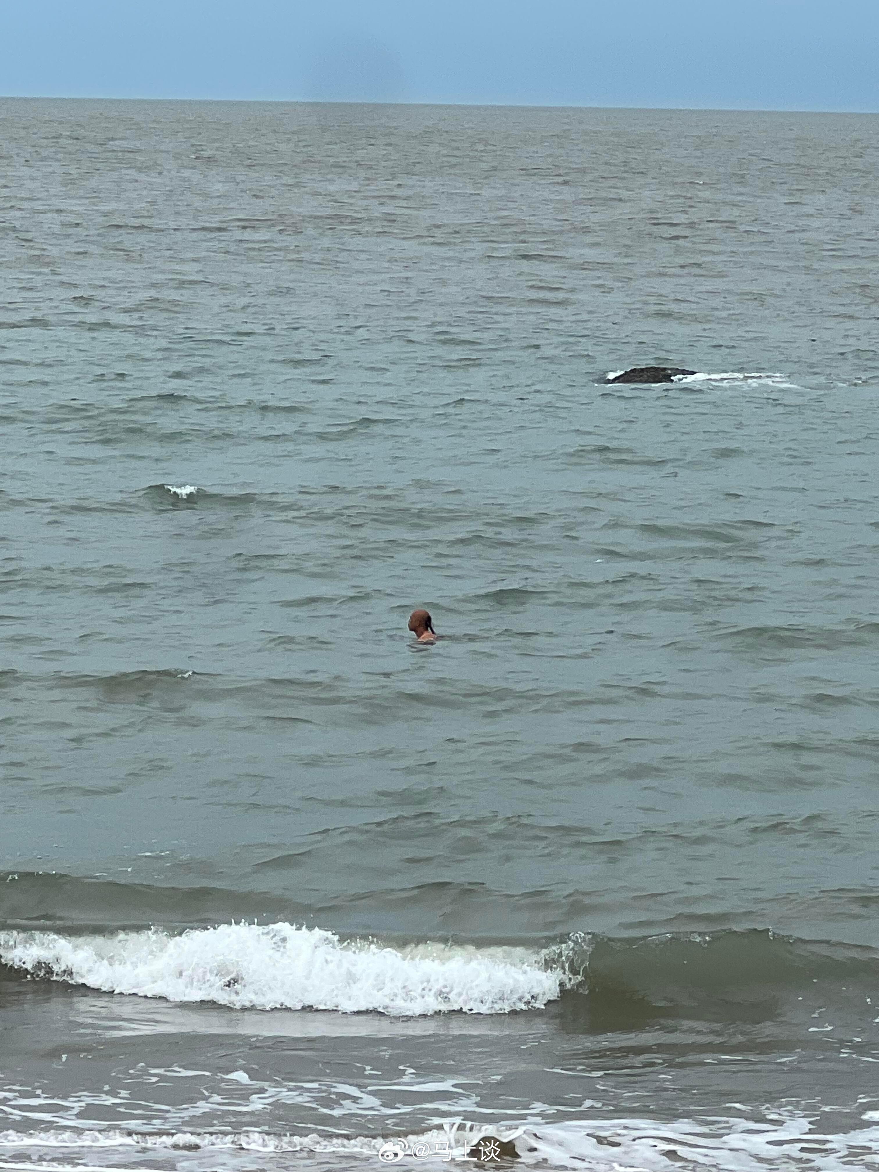 不是牢A曝光，谁又会知道，还有一伙人在孜孜不倦呢？ 