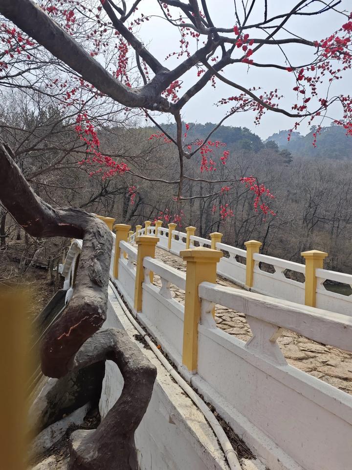 我希望自己是一阵风
偶尔从你身边路过
哪怕只是一瞬间的匆匆
我希望自己是一滴雨
