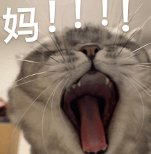 李斌：蔚来 ES9 要上工信部了！！我：妈！！！！！！！！！！！！！！！！！！ 