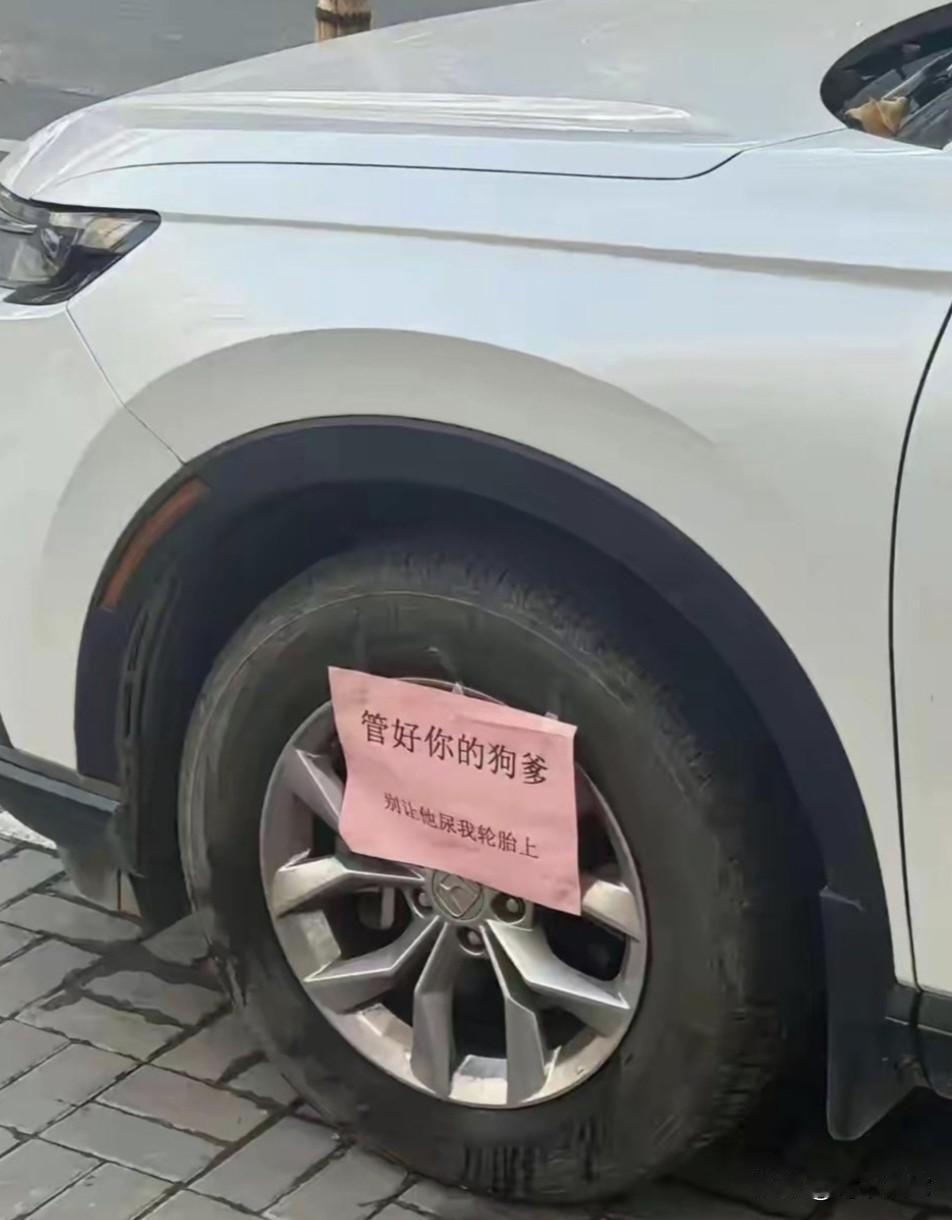 就这么一点事，大家说该骂不该骂？