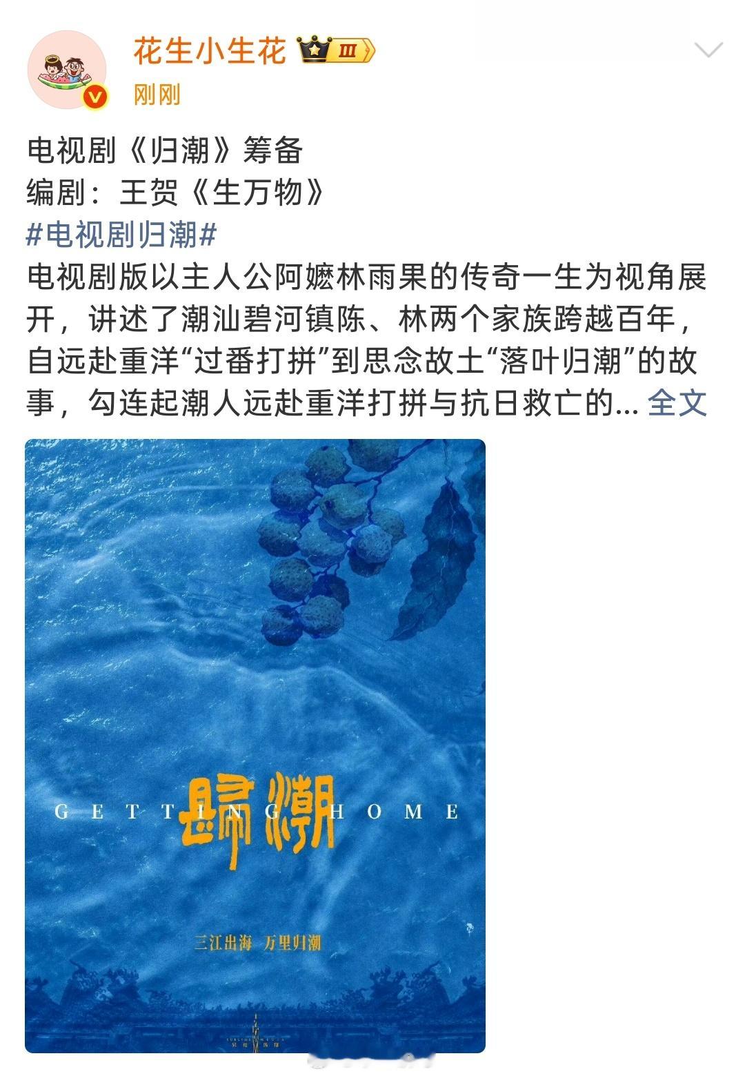 电视剧《归潮》筹备编剧：王贺《生万物》电视剧归潮 电视剧版以主人公阿嬷林雨果的传